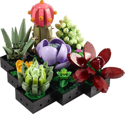 Lego Creator Succulents pentru 18+ ani