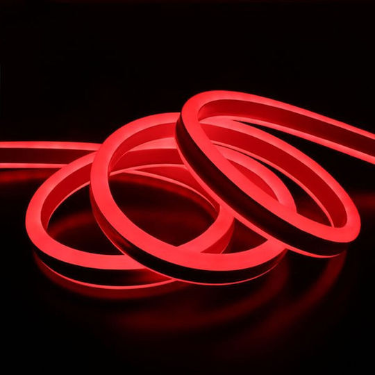 Țeavă luminată Neon Flex 600 Becuri 12V Roșu cu Programe 5m IP65