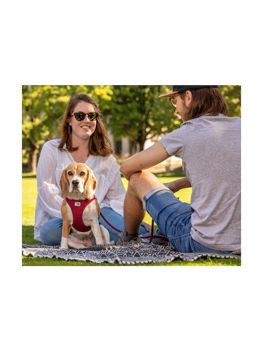 Curli Dog Harness Vest Clasp Air-Mesh Red X-Large 55-63cm PN2801