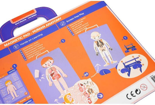 Mieredu Ανατομία STEM Образователна Игра Образователни за 3+ години Години