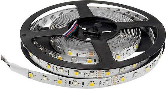 Optonica LED Strip 12V Natural White Light 5m Type SMD5050