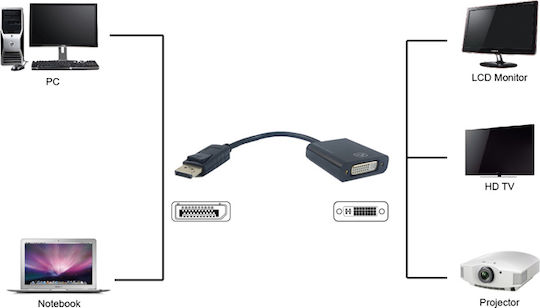 Powertech Μετατροπέας DisplayPort male σε DVI-I female 1τμχ PTH-029