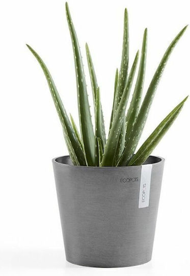 Ecopots Amsterdam Mini Ghiveci Plastic Cărbune de lemn 17x17x15cm.