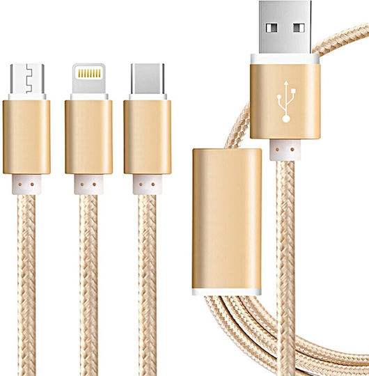Jellico GS-13 Braided USB to Lightning / Type-C / micro USB 1.2m 3.1A Cable Gold