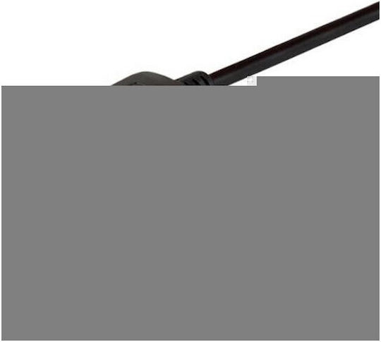 Savio Cable DVI-D male - DisplayPort male 1.8m (CL-106)