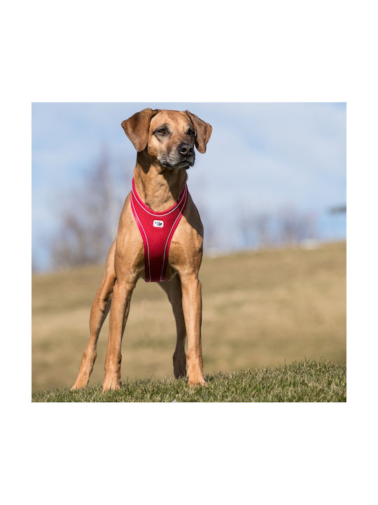 Curli Dog Harness Vest Belka Comfort Red Medium 66-70cm PN2263