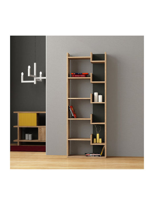 Bibliothek Helmut Anthracite / Natural 60x22x162cm