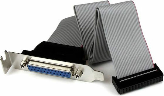 StarTech Adapter PLATE25F16LP