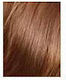 L'Oreal Paris Magic Retouch Permanent 6 Light B...