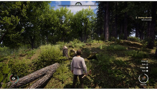 Medieval Dynasty PS5-Spiel