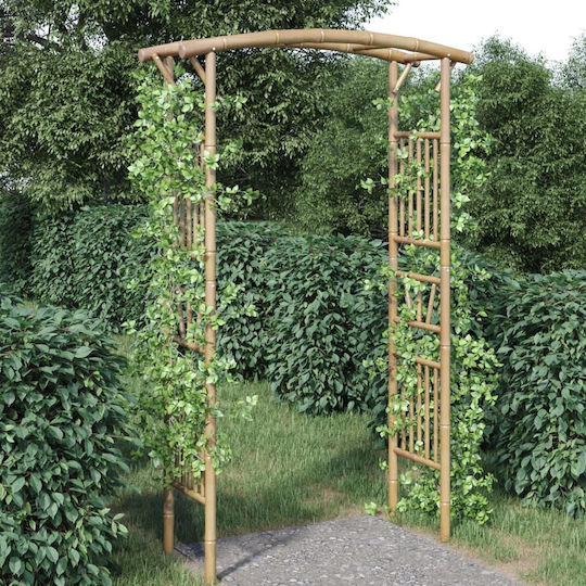 Garden Arch from Bamboo in Brown Colour 118x40x187cm