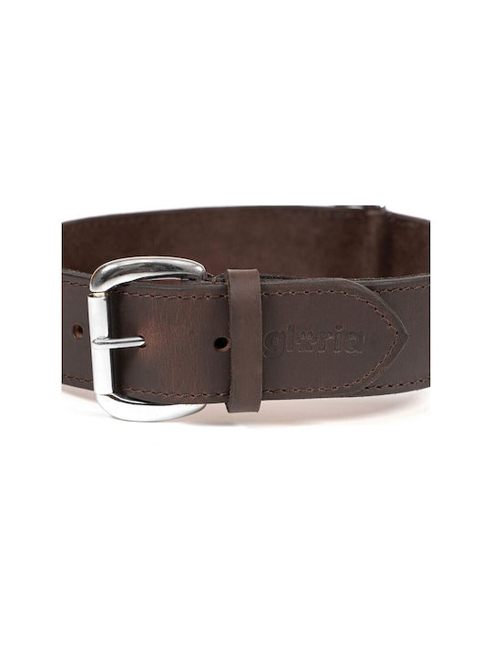 Gloriapets Dog Collar In Brown Colour 40mm x 60cm