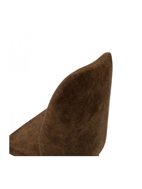 Adeline Stühle Speisesaal Brown antique / Walnut 1Stück 49x52x91cm