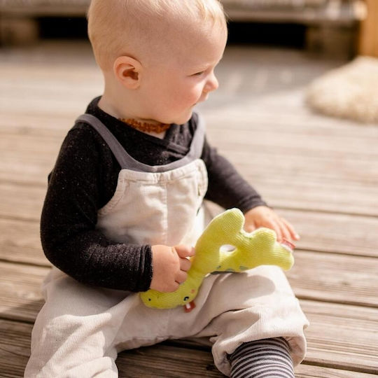 Fehn Fehn Dinosaur Baby Rassel