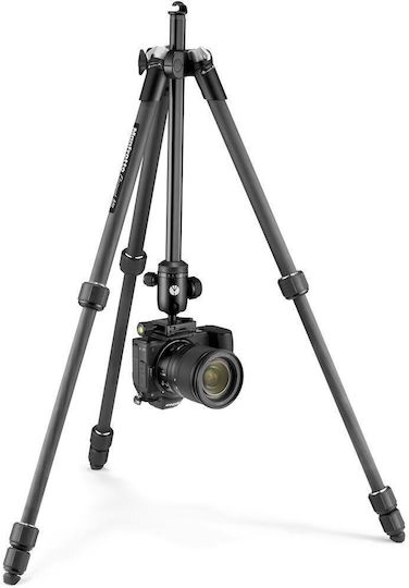 Manfrotto Kamerastative Element MII Mobile Bluetooth aus Carbonfaser mit Kugelförmiger Kopfart bis 160cm