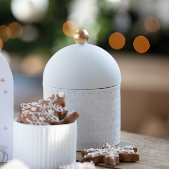 Raeder Merry Christmas "Multilingual" Christmas Vase Porcelain White L10xW10xH15xD10cm.