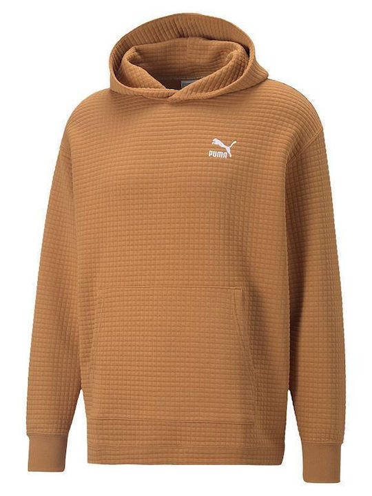 Puma Men's Sweatshirt with Hood Brown