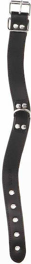 Taboom Elegant D-Ring Collar Guler în Culoare Negru
