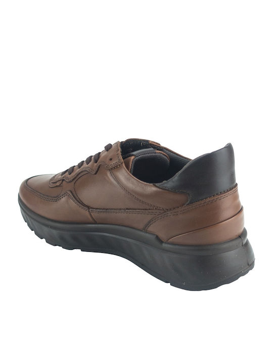 Sneakers Tabac Brown