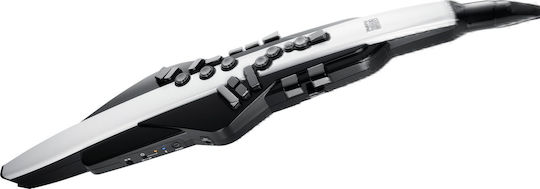 Roland Aerophone AE-20 Ηλεκτρονικό Σαξόφωνο
