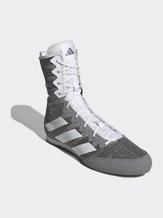 adidas Box Hog 4 adidas Box Hog 4