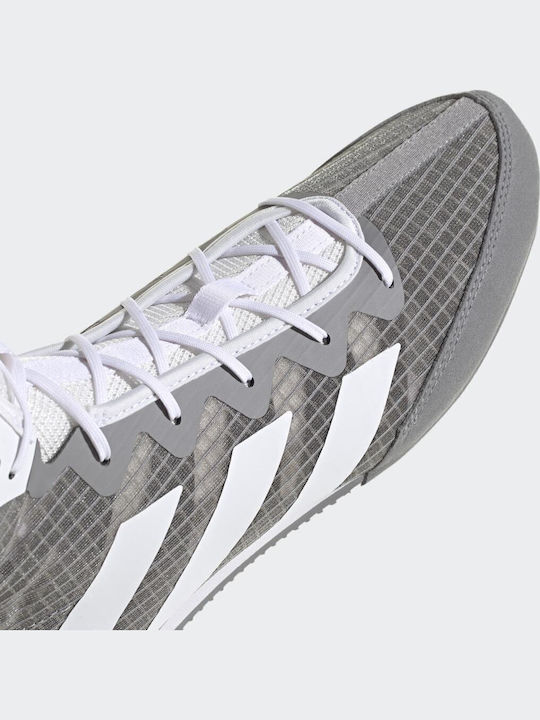 adidas Box Hog 4 Boxschuhe Grau
