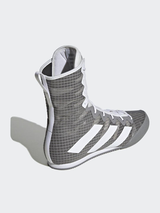 adidas Box Hog 4 Boxschuhe Grau