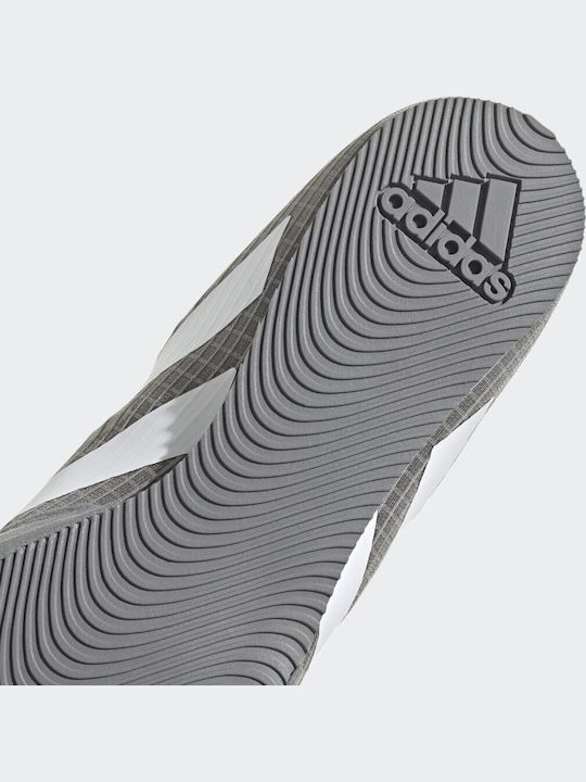adidas Box Hog 4 Boxschuhe Grau