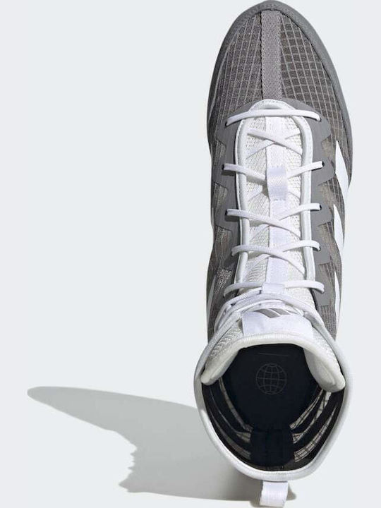 adidas Box Hog 4 Boxschuhe Grau