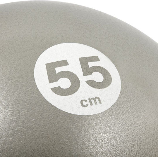 Reebok Ball Pilates 55cm in Silber Farbe