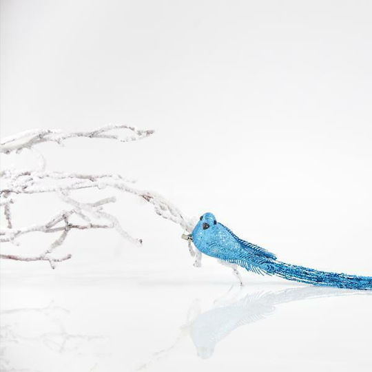 Eurolamp Christmas Plastic Figure Little bird Blue Height 4cm 6pcs