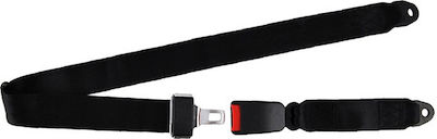 Auto Gs 2 Point Seat Belts