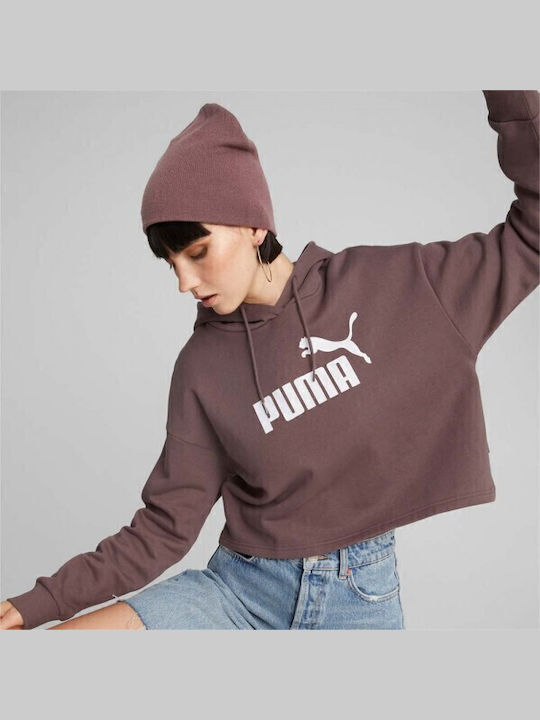 PUMA Logo Φούτερ Μπορντό με Κουκούλα