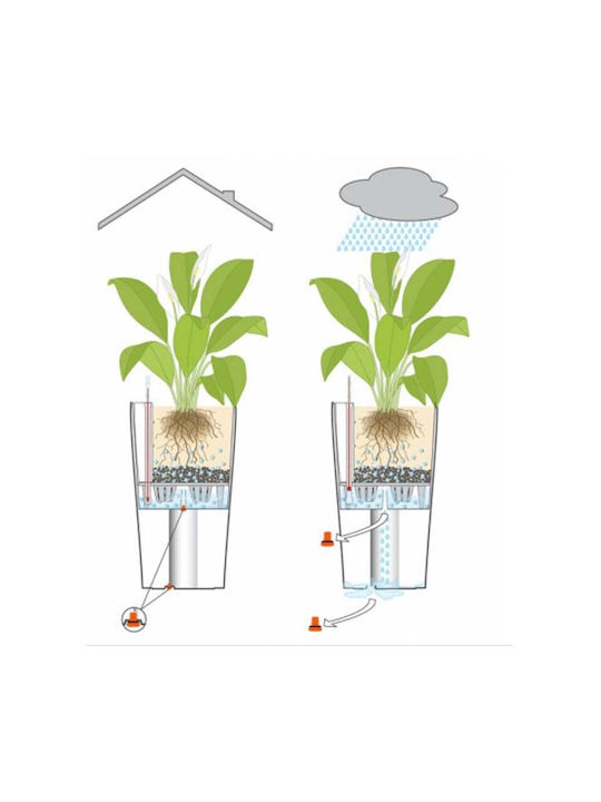 Lechuza Cilindro Self-watering Pot Plastic 32x32x56cm.