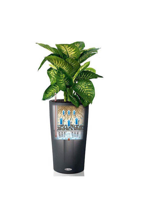Lechuza Cilindro Self-watering Pot Plastic 32x32x56cm.