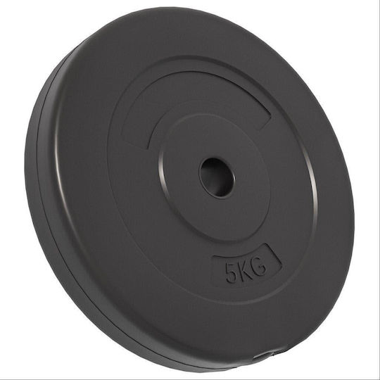 vidaXL Set of Plates Rubber 6pcs Total Weight 30kg Φ25mm