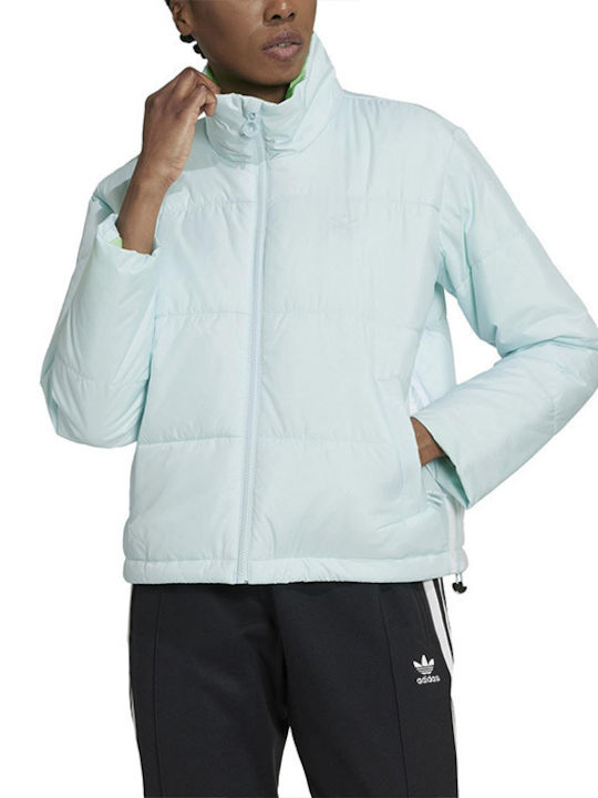Kurz Damen Puffer Jacke für Winter Hellblau