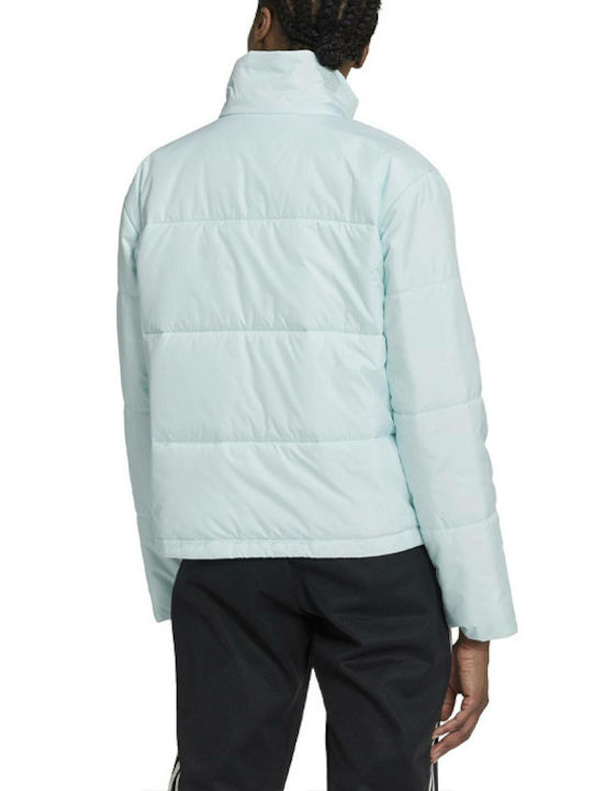Adidas Scurt Jachetă de femei Puffer pentru iarnă Albastru deschis