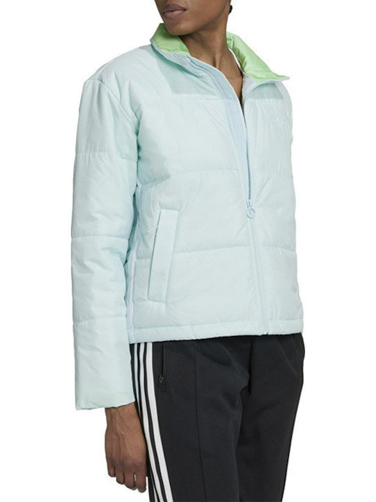 Kurz Damen Puffer Jacke für Winter Hellblau
