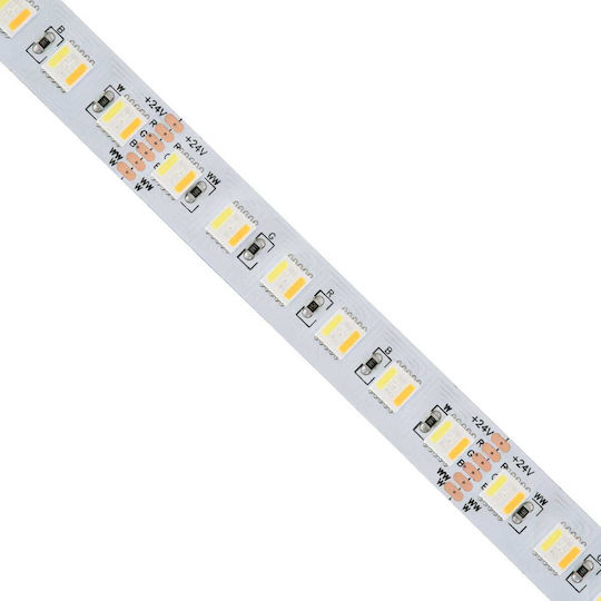 GloboStar Ταινία LED 24V RGBW Φως 5m Τύπου SMD5050