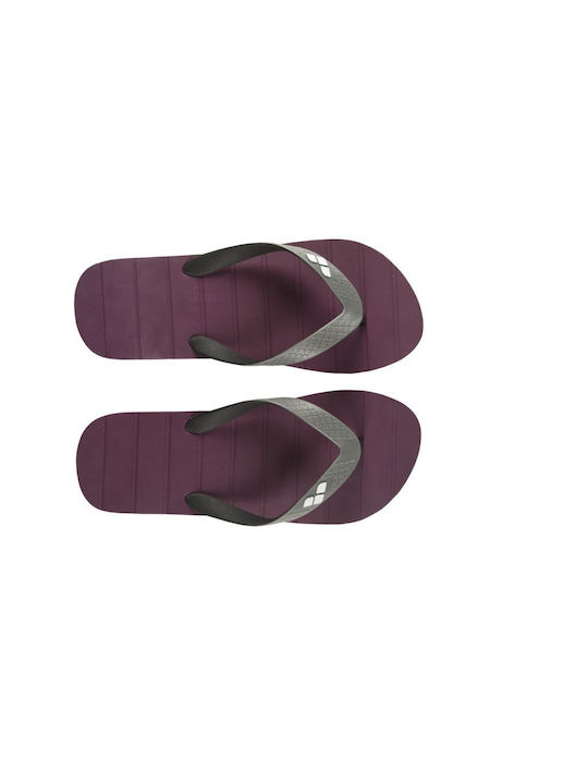 Eddy Ανδρικά Flip Flops Μωβ