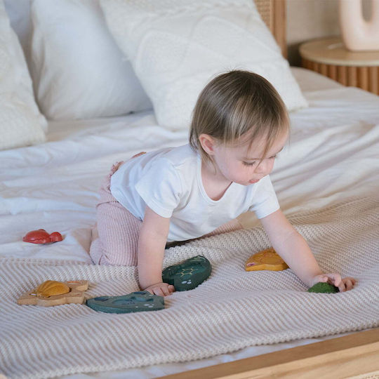 Plan Toys Παιχνίδι Ταξινόμησης Σχημάτων Πάζλ με Ζώα της Θάλασσας από Ξύλο για 12+ Μηνών
