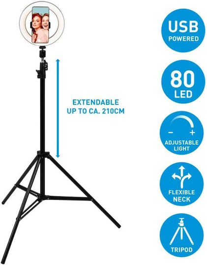 Grundig Ringlicht 20cm mit Bodenstativ und Handyhalter