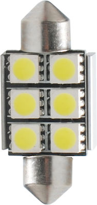 M-Tech Lamps Car & Motorcycle C10W Can Bus Festoon Premium 5 SMD 5050 C5W Canbus LED Blue 12V 1.44W 1pcs