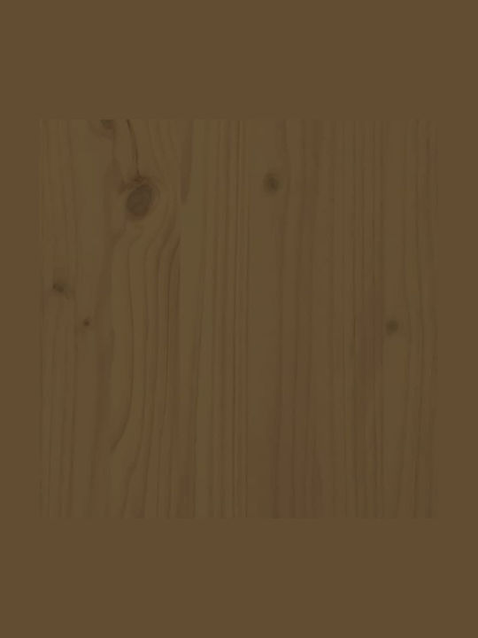 Consolă din Lemn Masiv Brown Honey L100xL35xH75buc