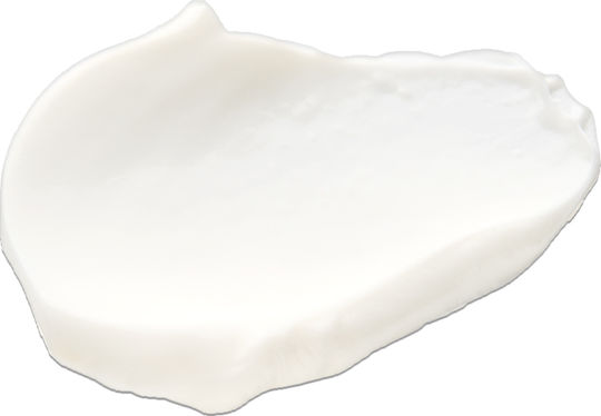 Q+A Natural Skincare Cream Face Day 50gr