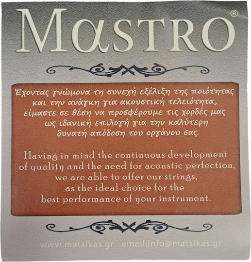 Mastro Set of Silver Plated Strings for Bouzouki Silver 6 String Bouzouki & Tzoura 10 - 22"