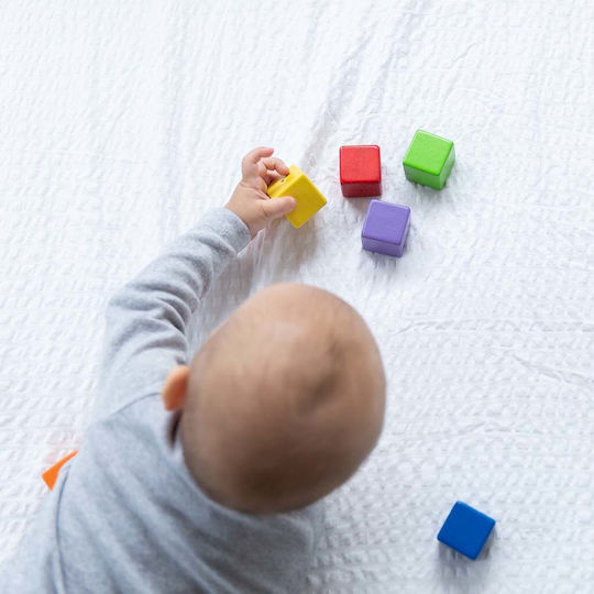 Plan Toys Aktivitätswürfel Aktivitätswürfel aus Holz für 12++ Monate