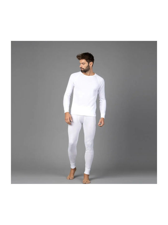 CMP White