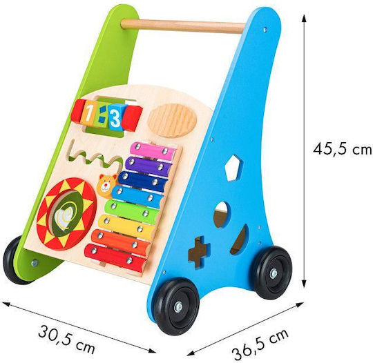Ecotoys για 24+ μηνών Πολύχρωμη
